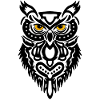 The Black Owl's Gaze