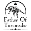 Spider Lovers Arachnid Web Terrarium