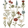 Wildflowers