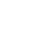 Sonnenblume / Fleur Soleil