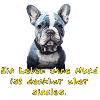 Bulldogge
