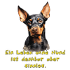 Dobermann Pinscher