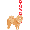 Chow Chow Us Flag
