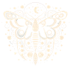 Papillon céleste