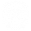 celestial moth