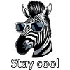 Cool Zebra