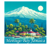 Montego Bay Experience: The Ultimate