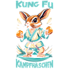 Kung Fu
