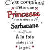 Princesse Et Sarbacane