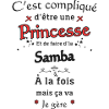 Princesse Et Samba