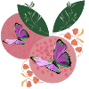 BUTTERFLY DREAMS