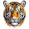Orange tiger face