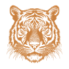 orange tiger