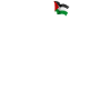 Befria Palestina, vintage palestinsk patriotisk flagga