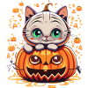 Sweet cat with pumpkin