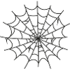 Spinnennetz