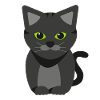Katze
