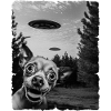 Chihuahua Austerrestrial Invasion Uap Bizarre