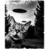 Chat Austerrestrial Invasion Uap Bizarre