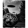 Chat Austerrestrial Invasion Uap Bizarre