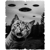 Cat Alien Invasion Uap Weirdcore