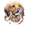 Golden Mom