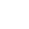 Jack Russell Terrier