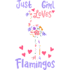 Flamingo Bird Flamingo Lover