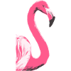Flamingo Bird Illustration