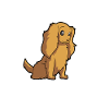 Cocker Spaniel Mom - Cocker Spaniel