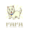 Westie Papa - West Highland Terrier