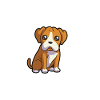 Boxer Mom - Boxer