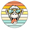 Cool Monkey