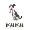 Whippet Daddy - Whippet