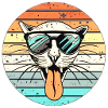 Cool Cats