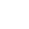 Burn Out Skull Wings Pistons