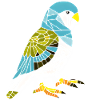 Bird Owner Budgie Cockatiel Bird