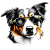 Puppy Australian Shepherd Dog Owner