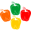 Quatre couleurs de poivrons