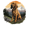 Dog Bloodhound