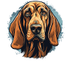 Chien Limier