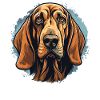 Hund Bloodhound