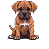Dog Boerboel