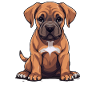 Dog Boerboel