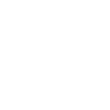 Year 2004