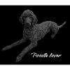 Schwarzer Pudel Pudel lover