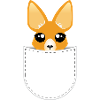 Kangaroo in the pocket