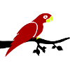 Parrot Branch