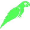 parrot
