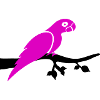 Parrot Branch